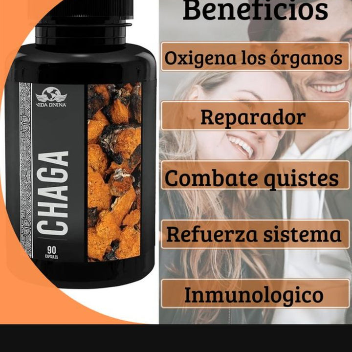 Hogos chaga™ Premium