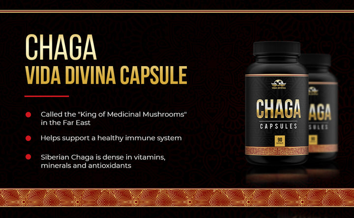 Hogos chaga™ Premium